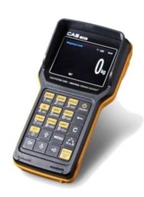 Весы CAS 2 THD RF с крюком (TW-100 ВТ)(Caston 3), цена 229 561 руб. - Крановые весы